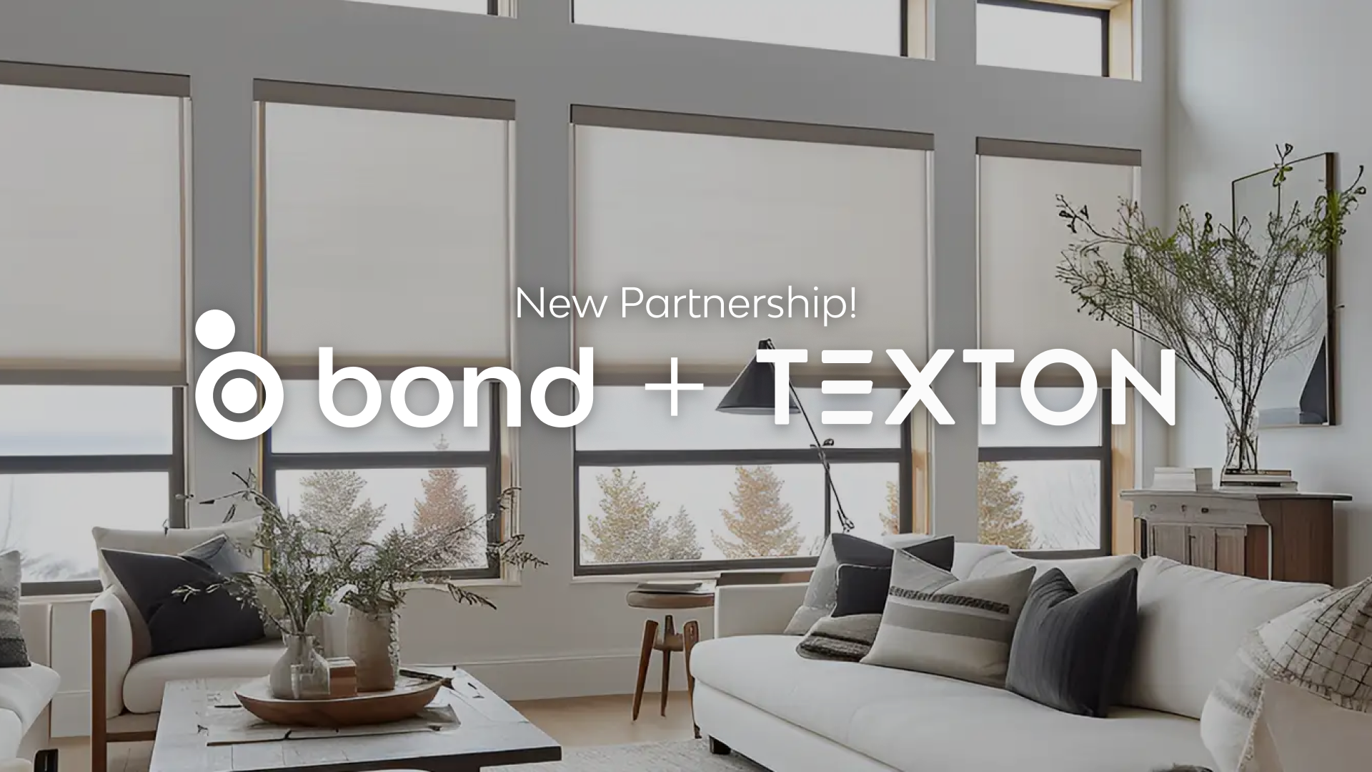 New partnership! Texton