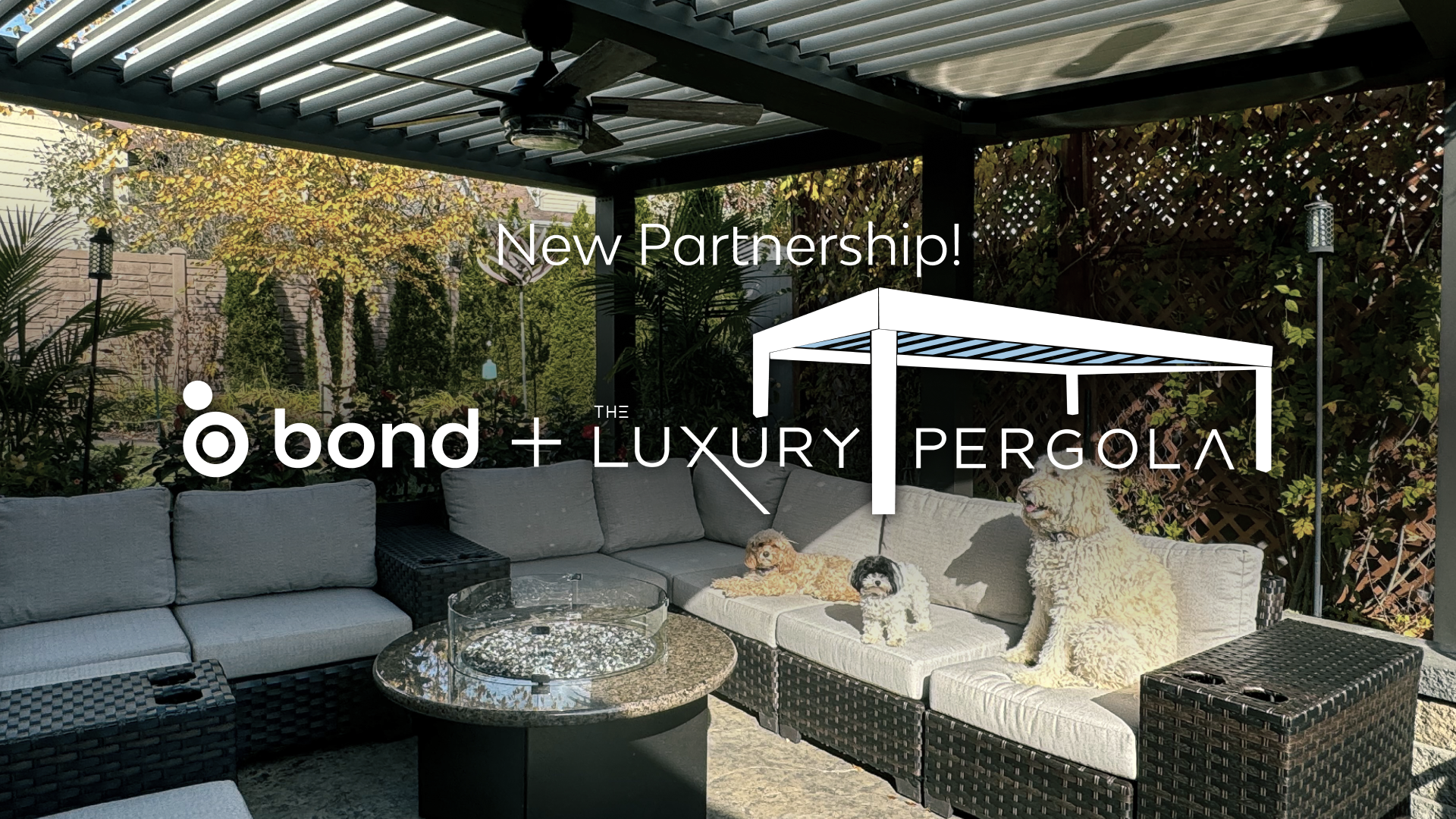 New partnership: Luxury Pergola